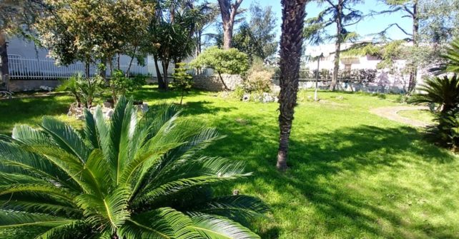 bisceglie B&B villa garden